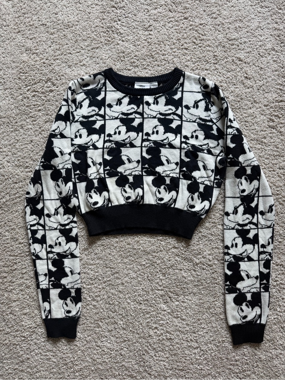 Mickey & Co x Forever 21 Collection Exclusive Crop Sweater - size S